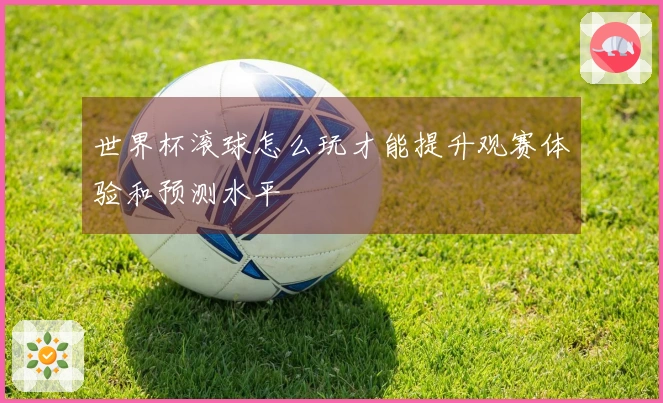 世界杯滚球怎么玩才能提升观赛体验和预测水平