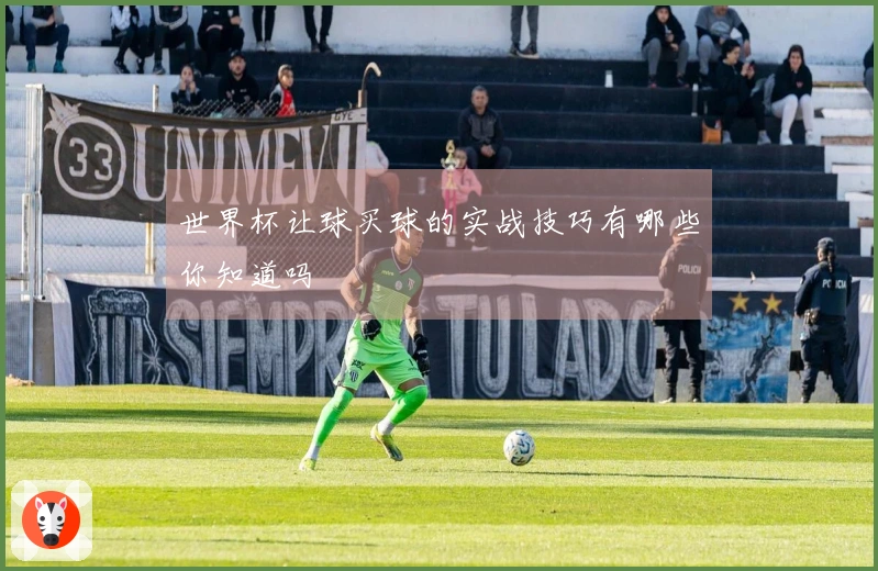 世界杯让球买球的实战技巧有哪些你知道吗