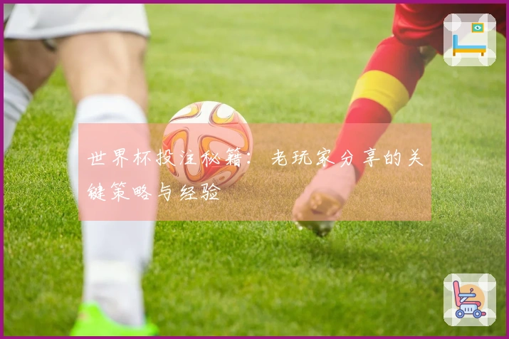 世界杯投注秘籍：老玩家分享的关键策略与经验