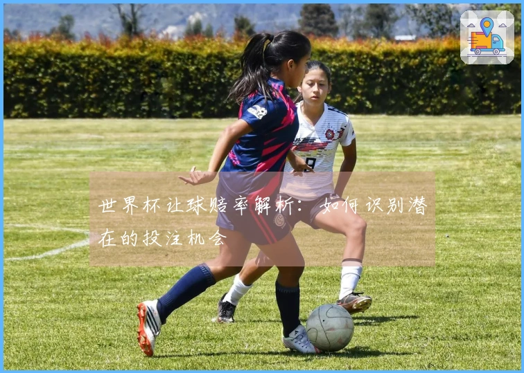 世界杯让球赔率解析：如何识别潜在的投注机会