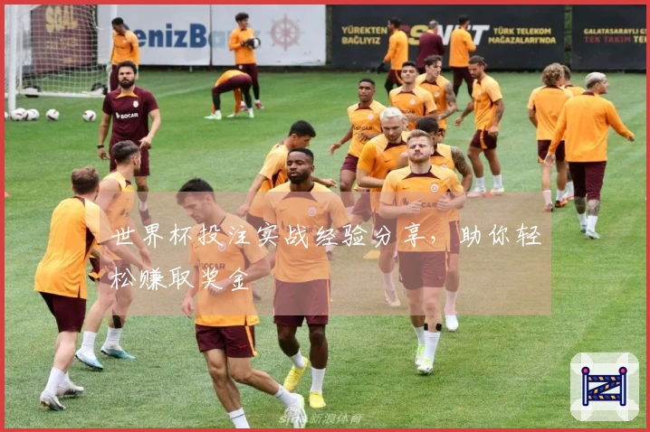 世界杯投注实战经验分享，助你轻松赚取奖金