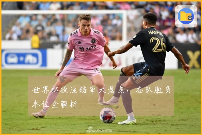 世界杯投注赔率大盘点，各队胜负水位全解析