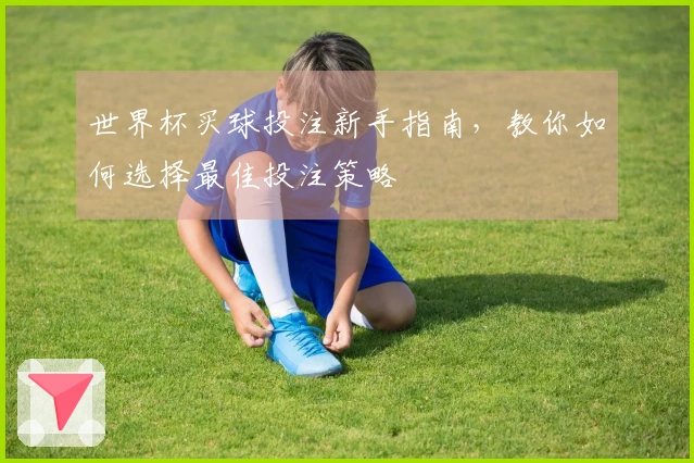 世界杯买球投注新手指南，教你如何选择最佳投注策略