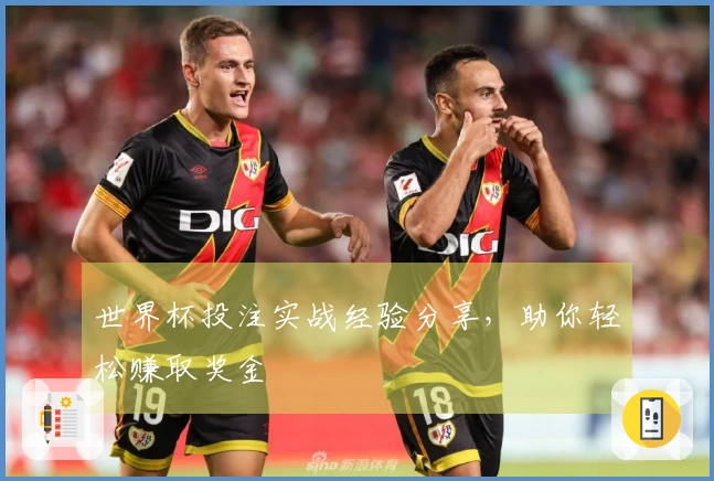 世界杯投注实战经验分享，助你轻松赚取奖金