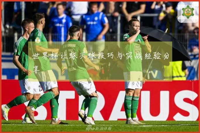 世界杯让球买球技巧与实战经验分享