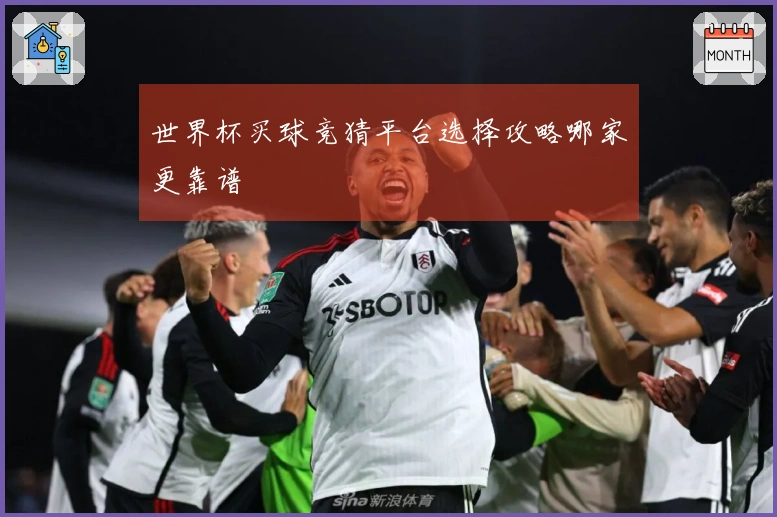 世界杯买球竞猜平台选择攻略哪家更靠谱