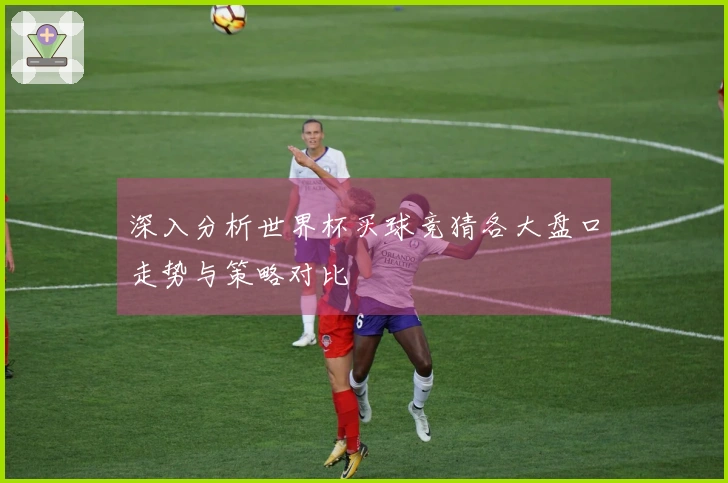 深入分析世界杯买球竞猜各大盘口走势与策略对比