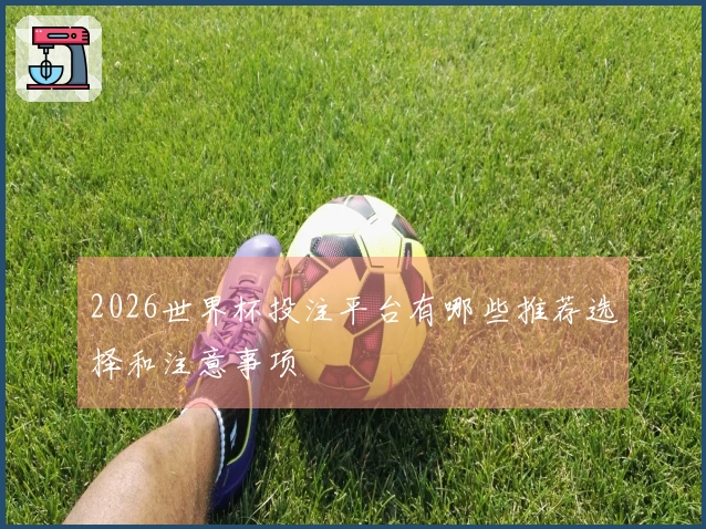 2026世界杯投注平台有哪些推荐选择和注意事项